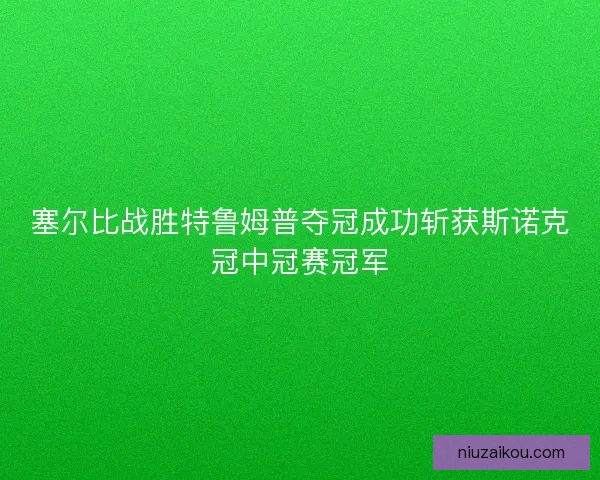 塞尔比战胜特鲁姆普夺冠成功斩获斯诺克冠中冠赛冠军 塞尔比战胜特鲁姆普夺冠成功斩获斯诺克冠中冠赛冠军